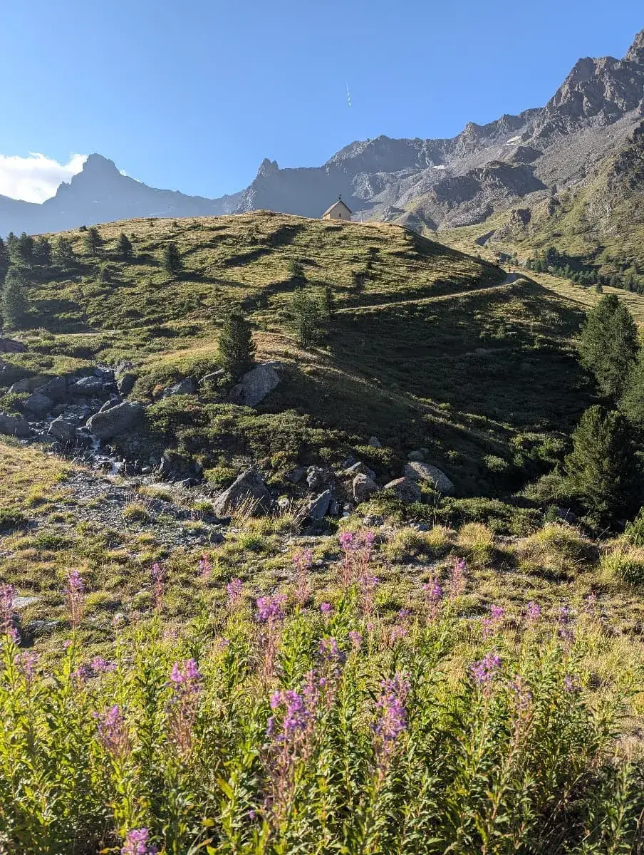 Die malerische Berglandschaft des Queyras bei Saint Veran mit grünen Hügeln und einem klaren, blauen Himmel. Im Vordergrund blühen violette Wildblumen, während sich weiter oben auf einem Hügel ein kleines Gebäude befindet, umgeben von Gras und vereinzelten Bäumen. Im Hintergrund ragen steile Felswände der Alpen empor.