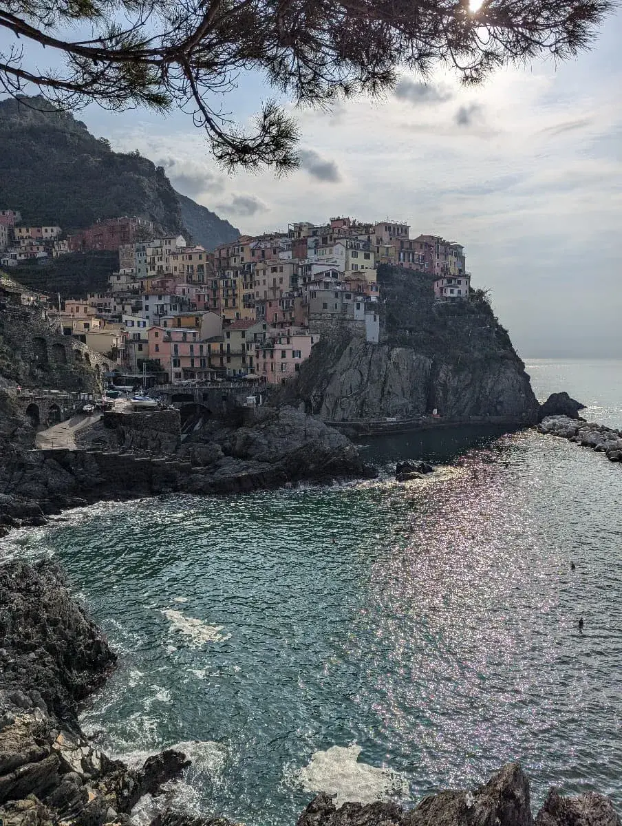 Die ikonischen, bunten Häuser von Manarola liegen dicht aneinandergereiht auf einem Felsen über dem Meer. Das Wasser glitzert im Sonnenlicht, und ein Baum erstreckt sich über die Szene, die eine friedliche Küstenlandschaft zeigt.