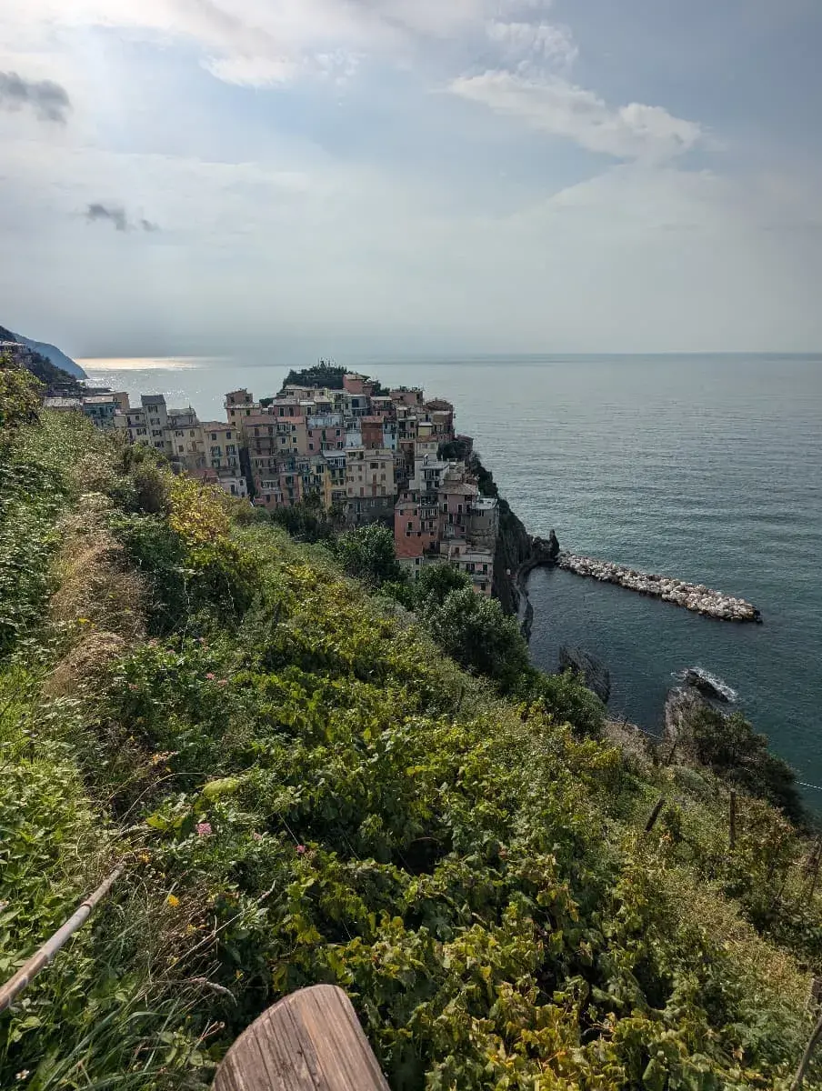 Die terrassierten Weinberge umgeben das Dorf Manarola und erstrecken sich bis zur Küste, wo sie einen spektakulären Blick auf das Meer bieten. Die Landschaft zeigt die typischen Trockenmauern und Weinreben der Region.