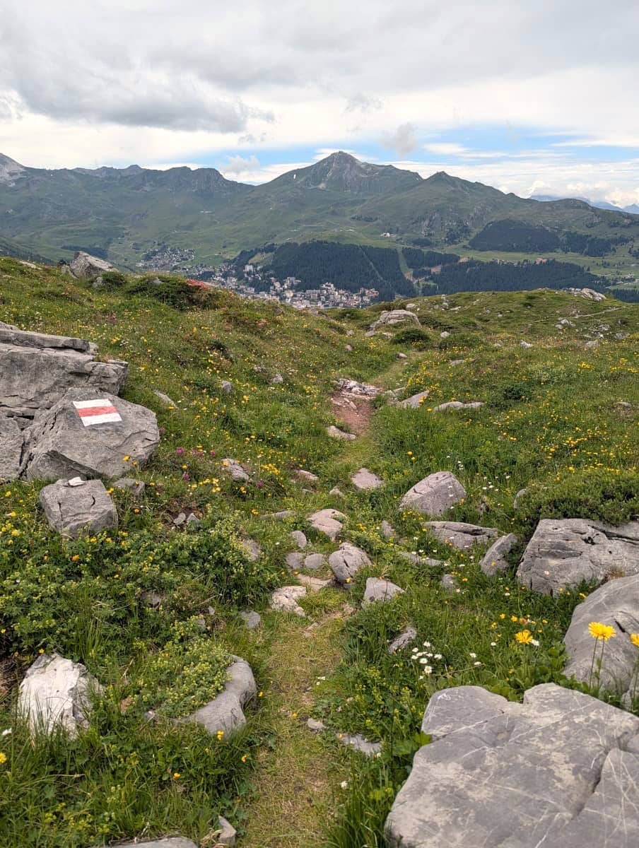 Alpiner Wanderweg mit rot-weißer Markierung führt über blumenbedeckte Felsen Richtung Arosa, das eingebettet zwischen grünen Hügeln unterhalb des Weisshorns liegt. Natur und Weitblick vereinen sich beim Wandern in Arosa.