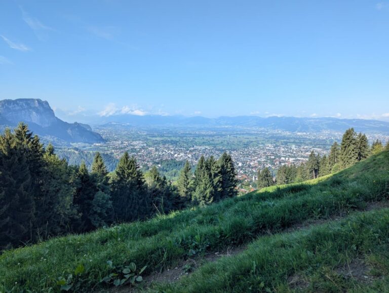 Blick über sattgrüne Almwiesen, dichte Tannenwälder und die weite Stadtlandschaft im Rheintal bei Dornbirn in Vorarlberg. Bei einem Dornbirn Kurztrip lohnt sich diese Aussicht von der Alpe Schwende besonders.