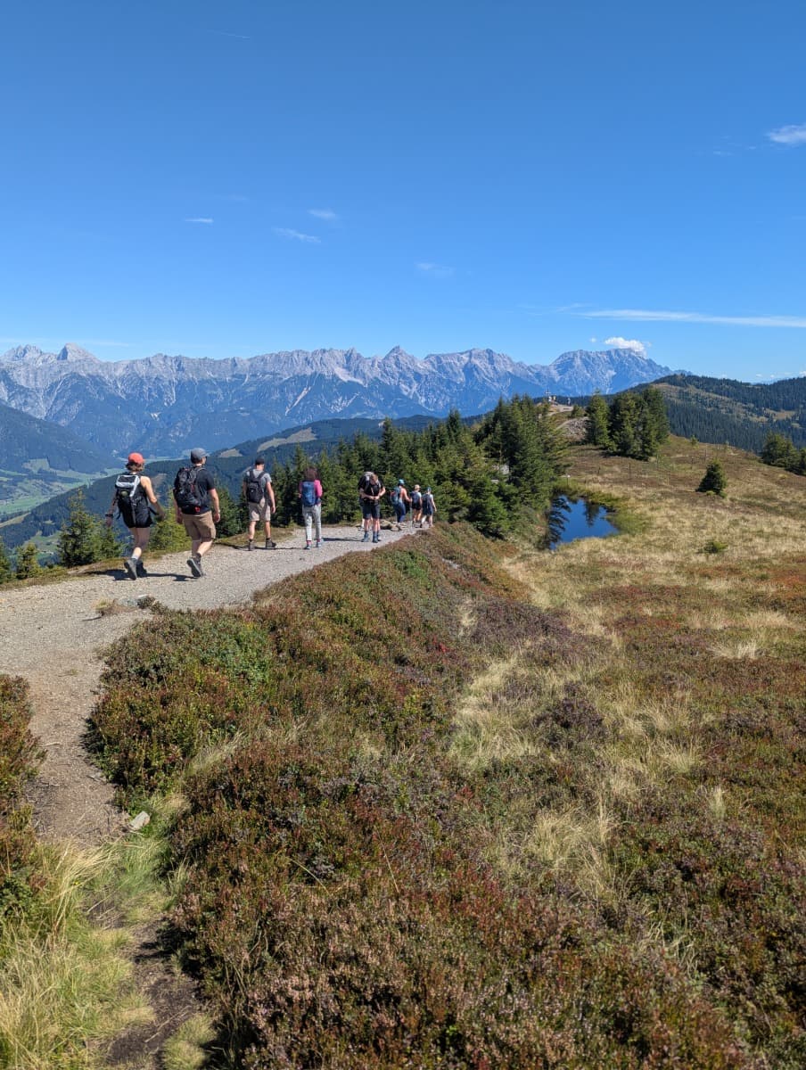 Eine Gruppe Wanderer folgt dem Kammweg mit herrlicher Sicht auf die Leoganger Steinberge. Dieses Bild vermittelt das gemeinsame Erlebnis und die Panoramaqualität der Saalachtaler Höhenwegs.