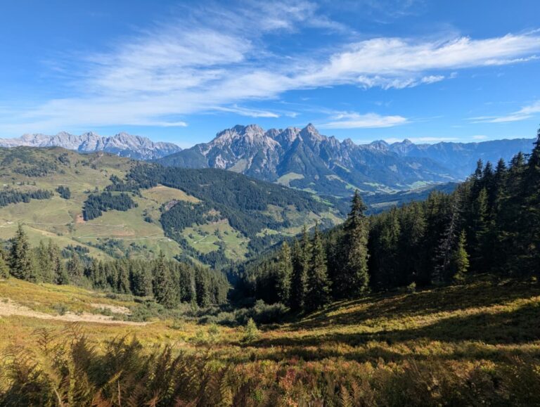 Blick vom Saalachtaler Höhenweg auf die Leoganger Steinberge und das grüne Glemmtal. Die Kombination aus Almwiesen, Wäldern und Felsgipfeln machen Saalbach Hinterglemm im Sommer zu einem herausragenden Ziel für Wanderer.