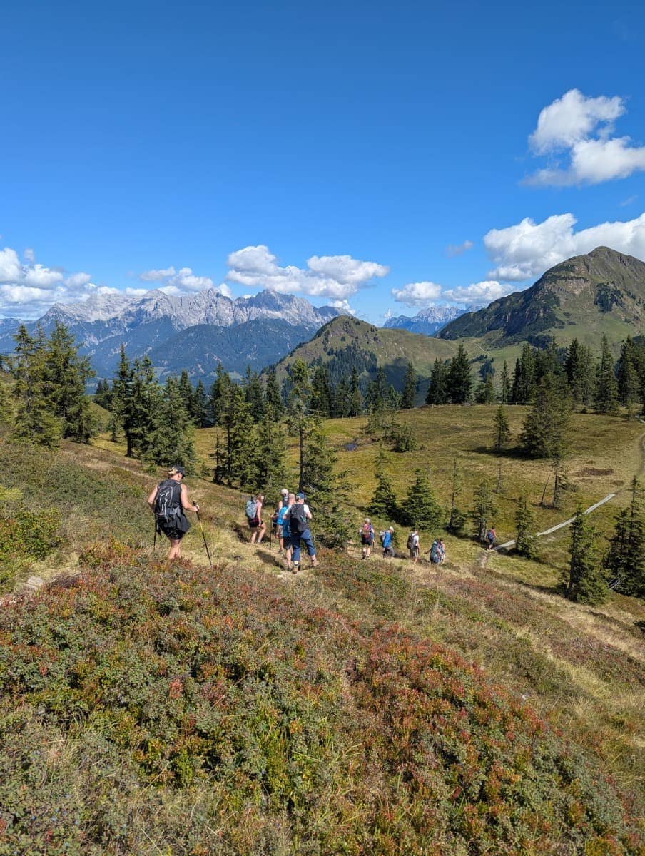 Eine Wandergruppe steigt durch Almwiesen oberhalb von Saalbach Hinterglemm Richtung Bernkogel auf. Die Tour bietet abwechslungsreiche Landschaft und weite Ausblicke.