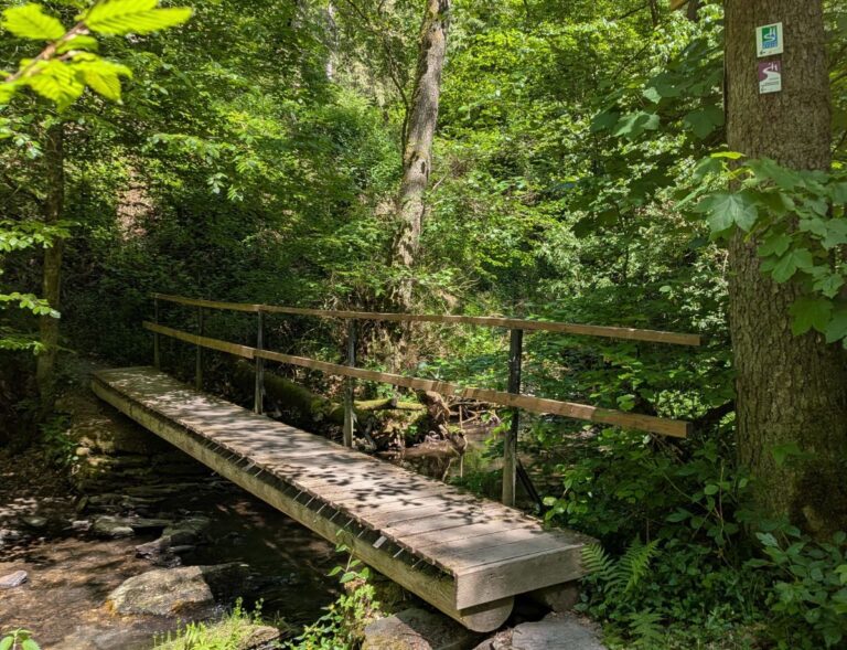 Holzbrücke über einen schmalen Bach im dichten Wald, umgeben von üppigem Grün und schattigen Wanderwegen, wie man sie beim Wandern in Kastellaun und durch den Hunsrück oft erlebt.