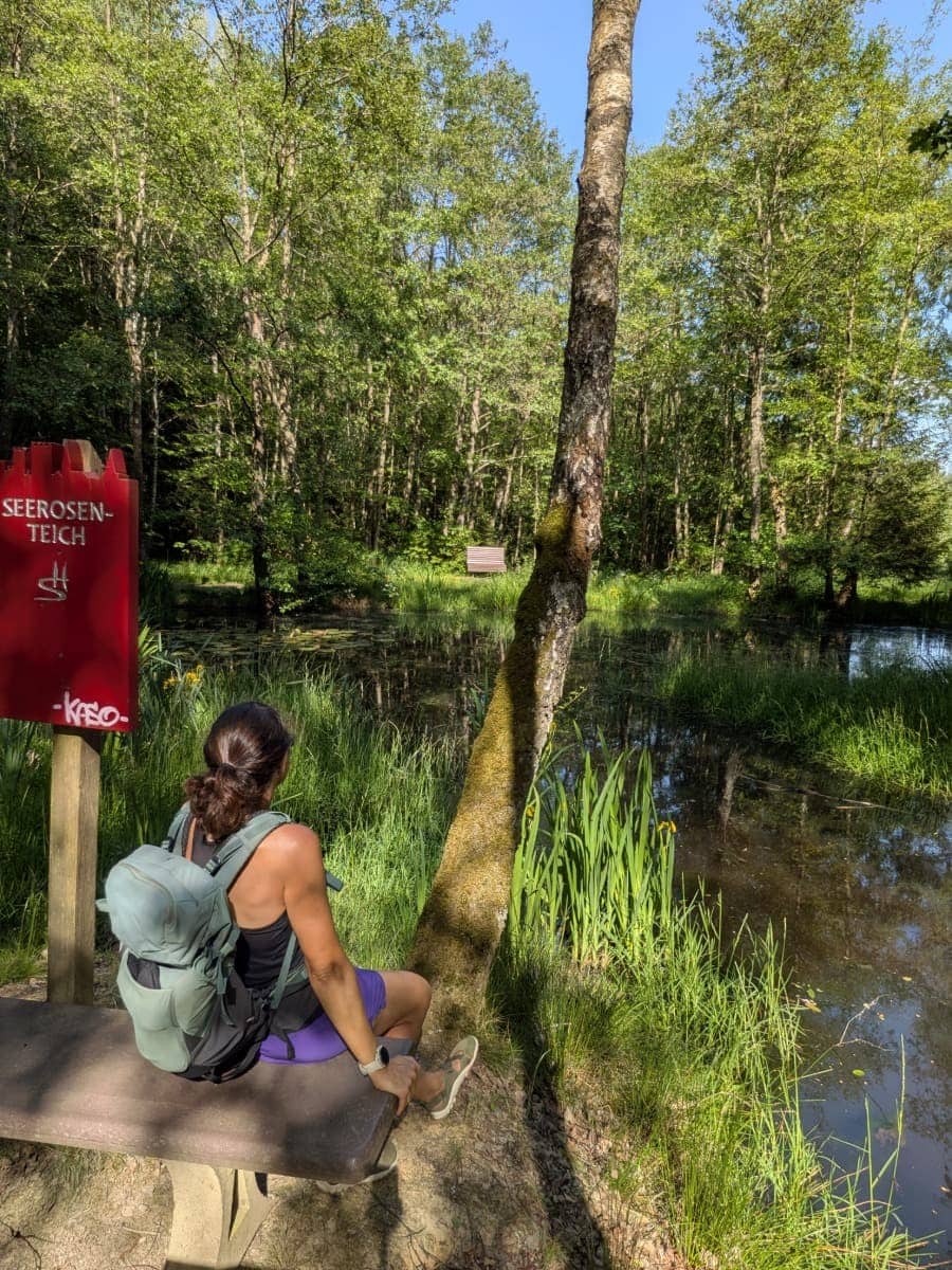 Linda sitzt am Seerosenteich der Traumschleife Burgstadt-Pfad und blickt auf die von Schilf und Bäumen umgebene Wasserfläche im Wald bei Kastellaun.