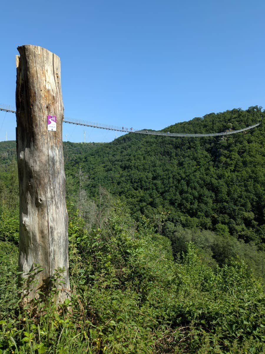 Blick auf die Geierlay-Hängeseilbrücke, die sich über das bewaldete Mörsdorfer Bachtal bei Kastellaun spannt, mit einer Wegmarkierung der Geierlayschleife im Vordergrund.