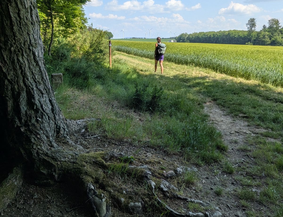 Linda steht beim Wandern in Kastellaun auf einem Feldweg am Waldrand und blickt über weite Felder bis zu den Windrädern des Hunsrück am Horizont.