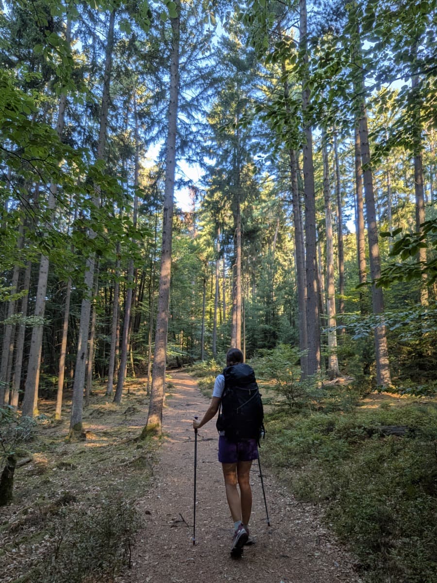 Linda wandert mit Rucksack und Trekkingstöcken auf einem schattigen Waldweg durch den Kirkeler Wald entlang des Bliessteigs im Saarland.