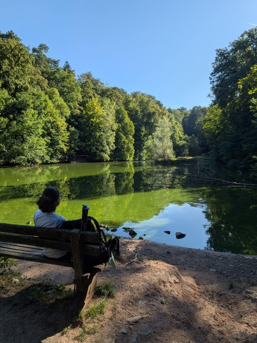 Linda sitzt am bewaldeten Ufer eines Weihers bei Jägersburg und genießt die ruhige Wasserlandschaft entlang des Bliessteigs.