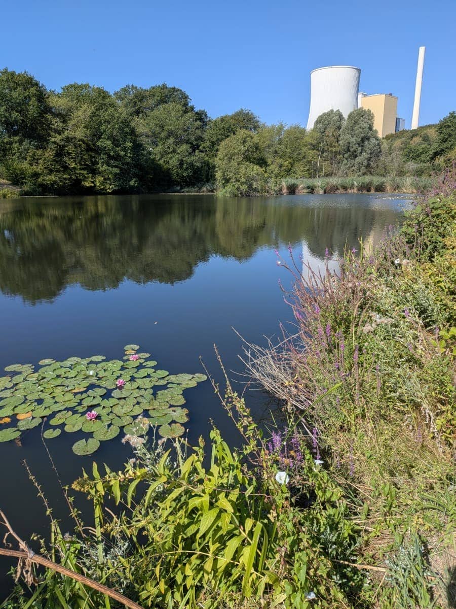 Seerosen und Uferpflanzen säumen einen Weiher vor der Industriekulisse bei Bexbach auf der letzten Etappe des Bliessteigs.