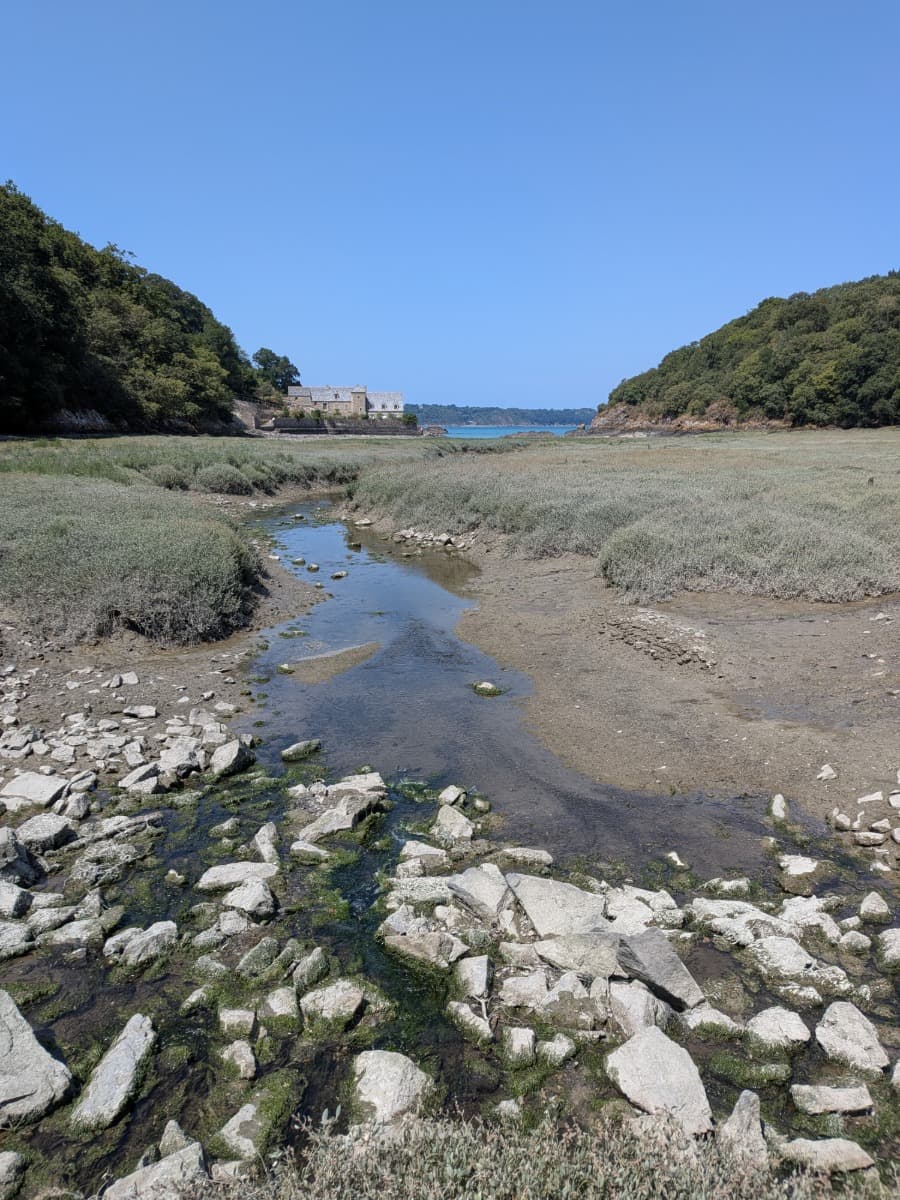 Ein schmaler Bach schlängelt sich durch Salzwiesen zur Küste und begleitet den Zöllnerpfad auf der abwechslungsreichen Küstenwanderung in der Bretagne.