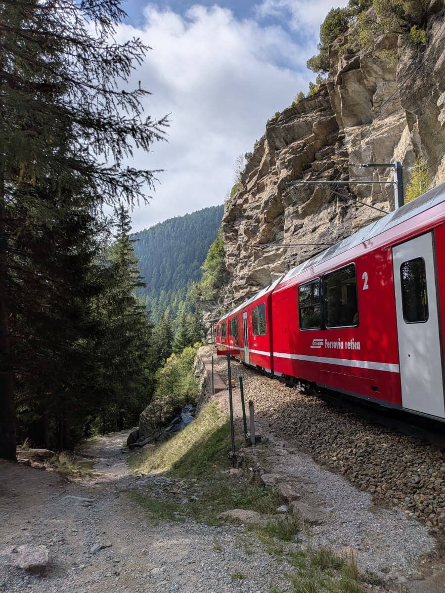 Ein roter Zug der Rhätischen Bahn fährt eng an einer steilen Felswand entlang durch den lichten Bergwald der Berninalinie.
