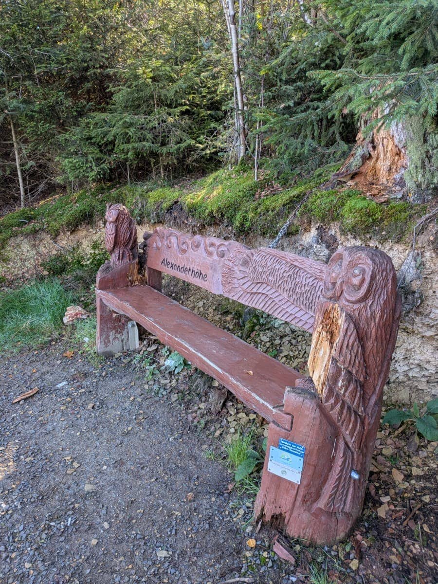 Eine Holzbank mit geschnitzten Eulen und der Aufschrift „Alexanderhöhe“ steht am Weitwanderweg im Westerwald vor einem moosbewachsenen Hang.