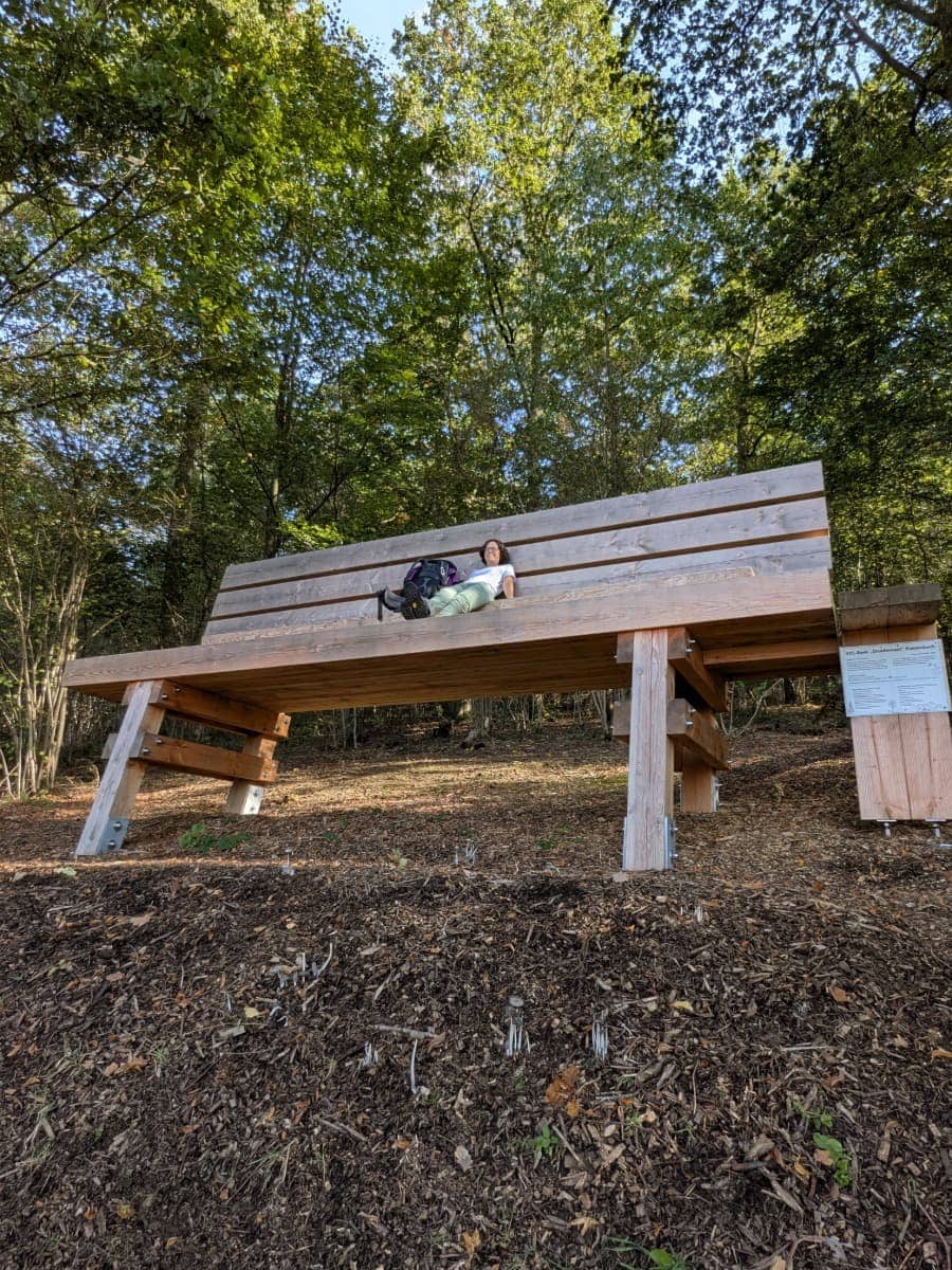 Linda macht auf ihrer Mehrtagestour im Westerwald eine Pause auf der riesigen Holzbank „Druidenrast“, die zwischen hohen Laubbäumen steht.