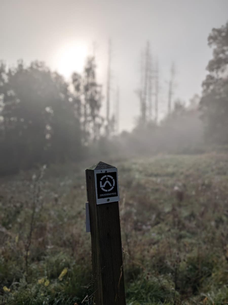 Eine Wegmarkierung des Druidensteigs ist an einem Holzpfosten vor einer nebligen Waldlichtung im Westerwald im Gegenlicht befestigt.