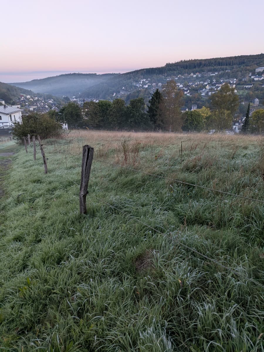 Vom Druidensteig oberhalb von Daaden reicht der Blick über eine eingezäunte Wiese ins neblige Tal unter einem rosa Morgenhimmel.