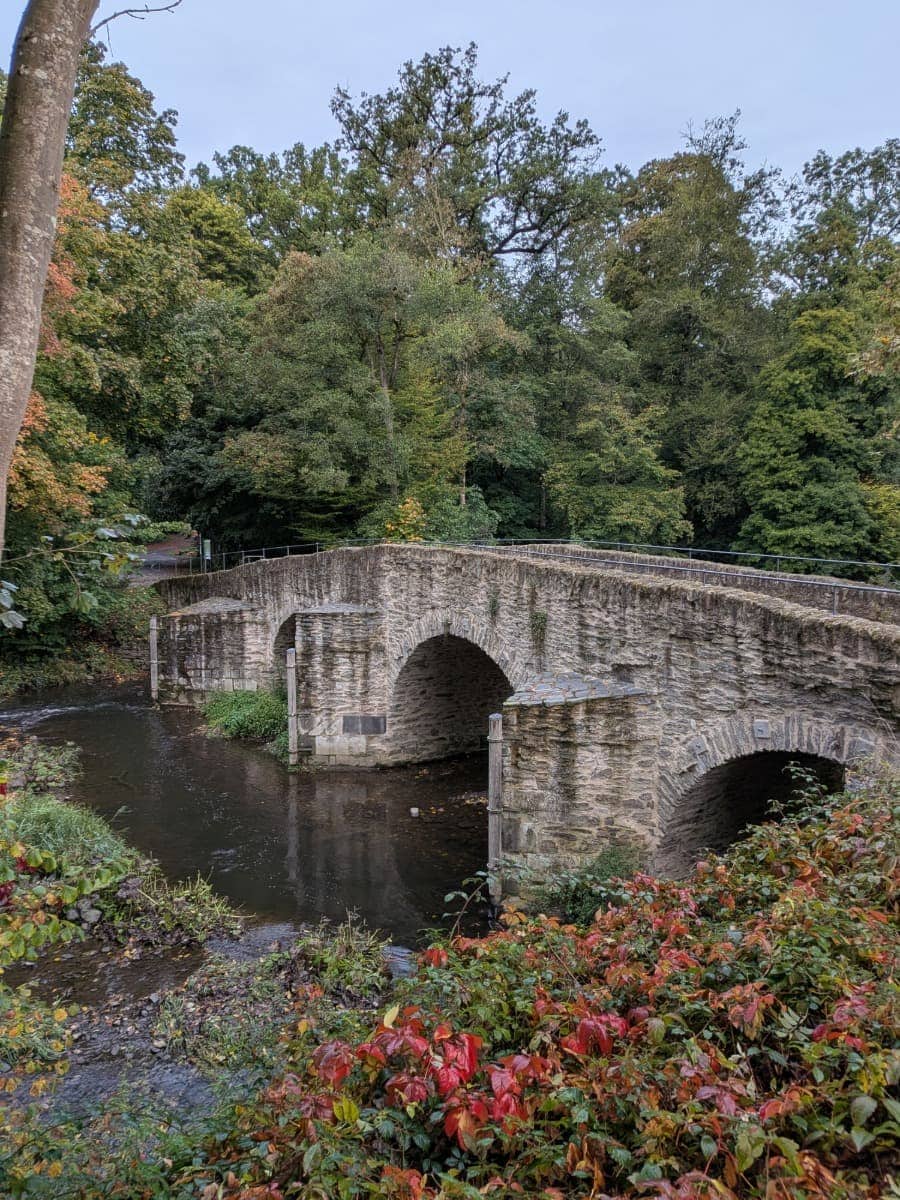 Die steinerne Nisterbrücke bei der Abtei Marienstatt im Westerwald überspannt den Fluss zwischen dichtem Wald und herbstlich gefärbten Sträuchern.