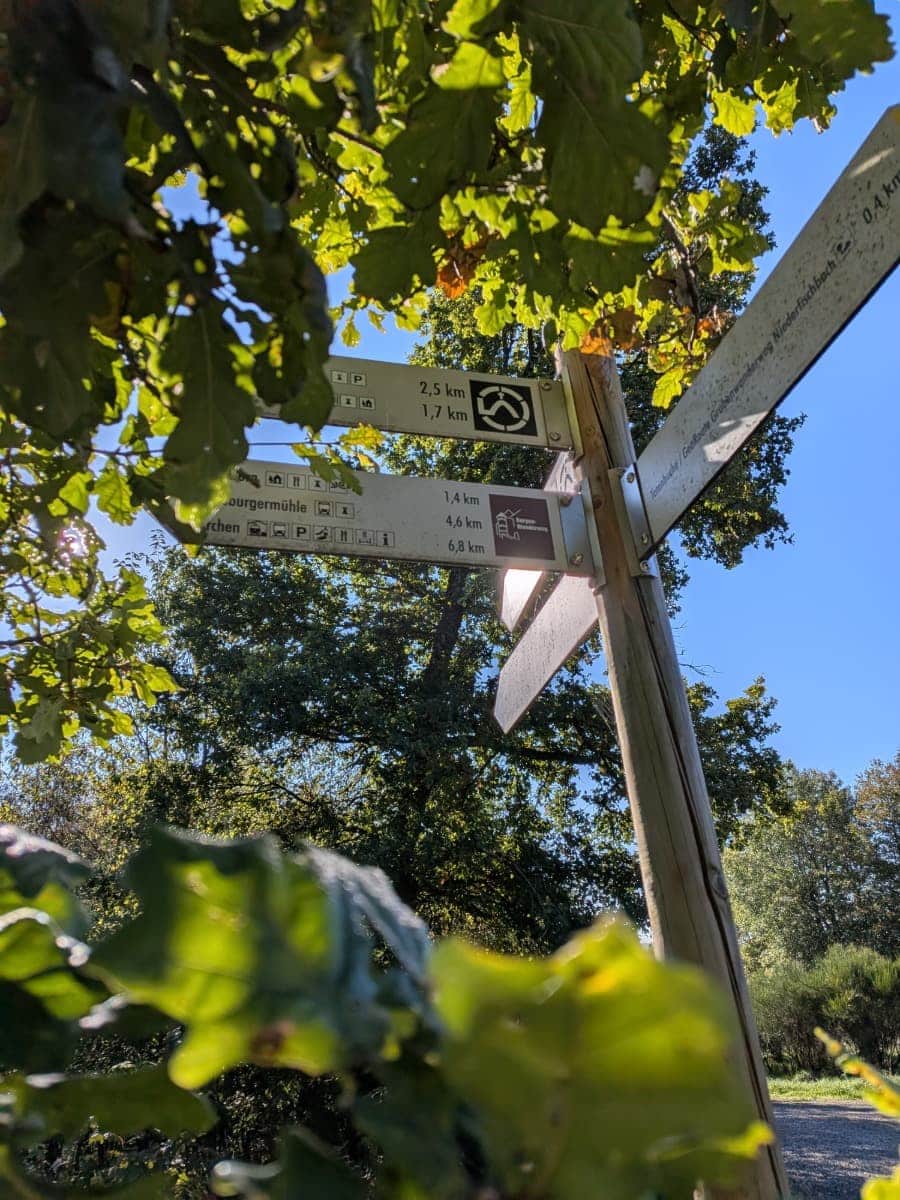 Ein Wegweiser mit dem Logo des Druidensteigs und Kilometerangaben ragt zwischen sonnenbeschienenen Eichenblättern hervor.