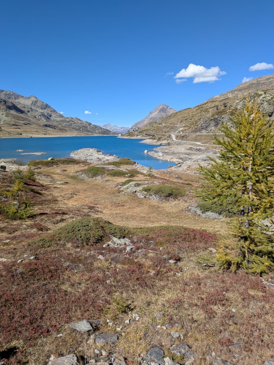 Der Lago Bianco am Berninapass liegt tiefblau zwischen den kargen Hängen der Bernina-Alpen, während die Straße am Seeufer durch die felsige Hochgebirgslandschaft führt.
