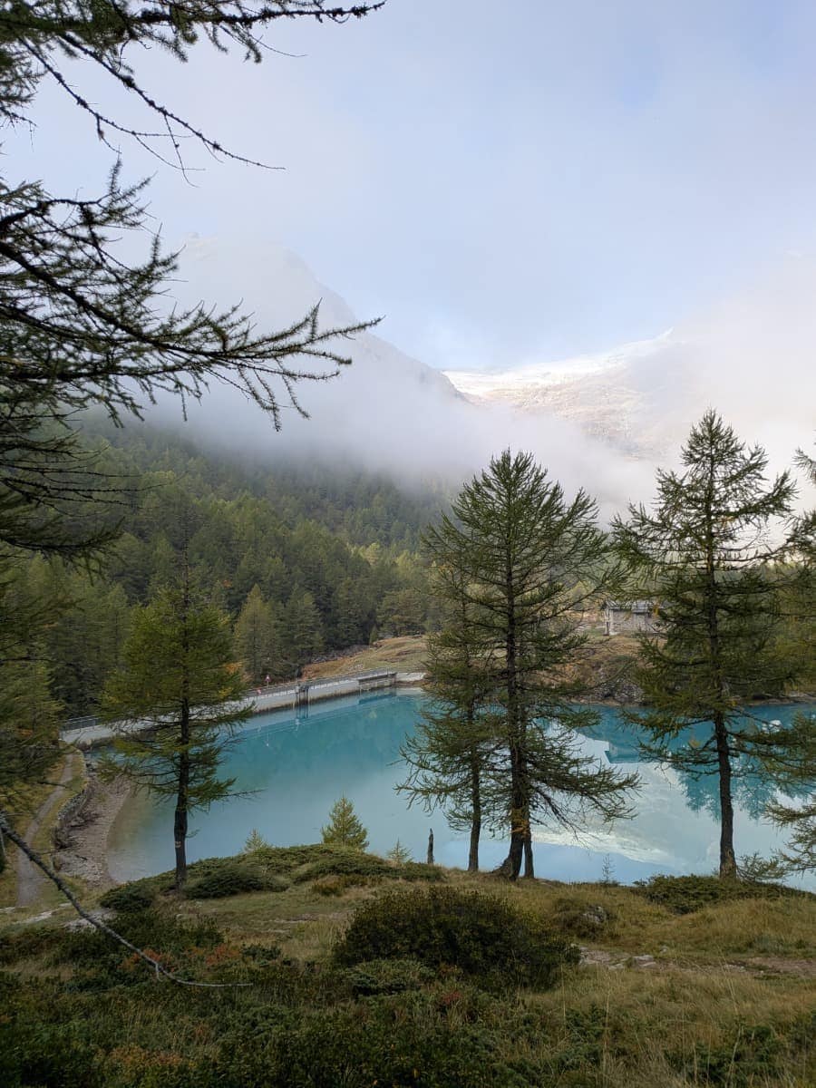 Der türkisfarbene Lagh da Palü liegt zwischen Lärchenwald und alpinen Hängen, während der Palügletscher und die Berge der Piz-Palü-Gruppe teilweise im Nebel verschwinden.