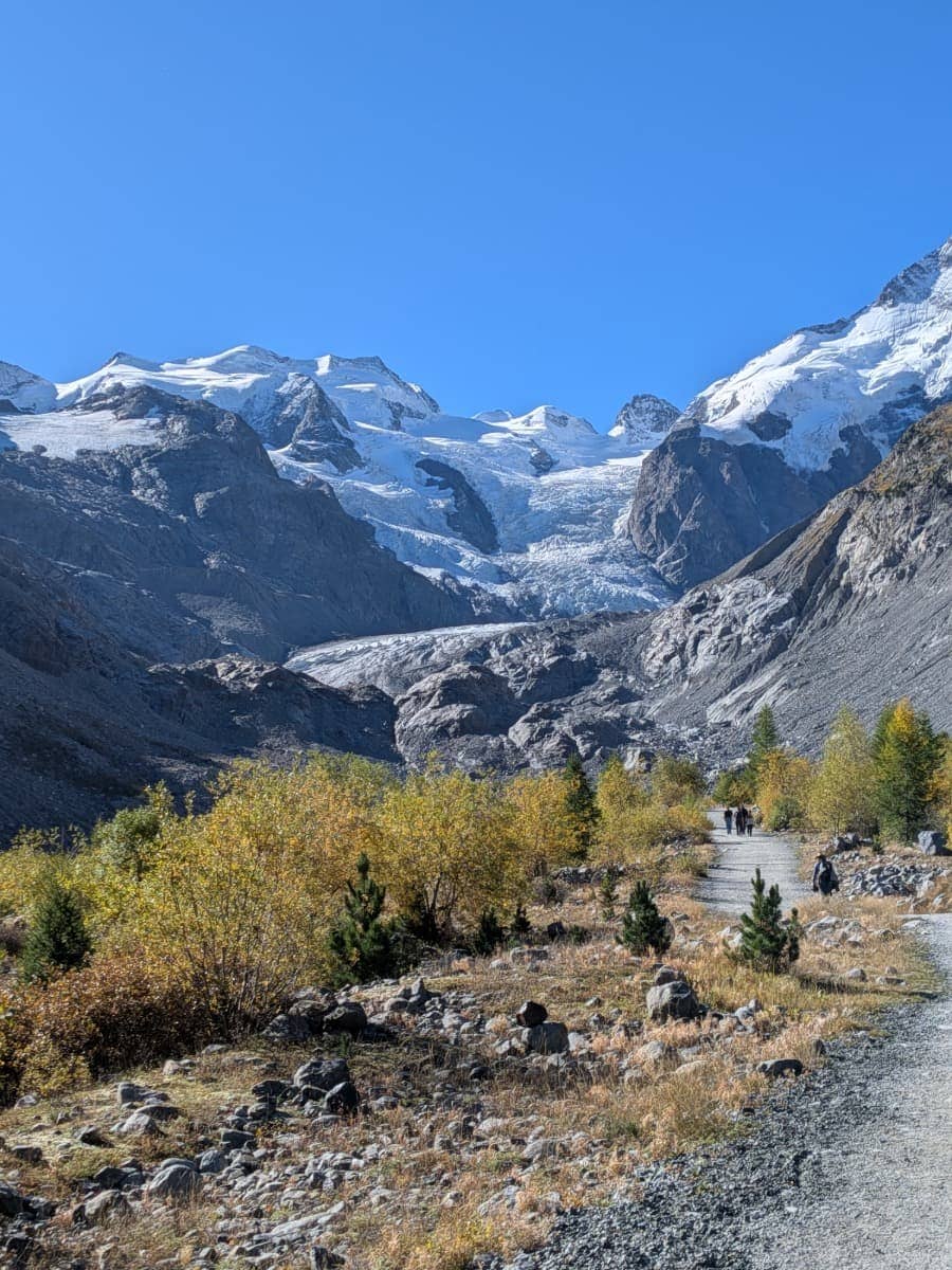 Der breite Wanderweg Via Albula/Bernina führt durch herbstlich gefärbte Büsche und felsiges Gelände direkt auf den mächtigen Morteratschgletscher und die schneebedeckte Berninagruppe unter tiefblauem Himmel zu.