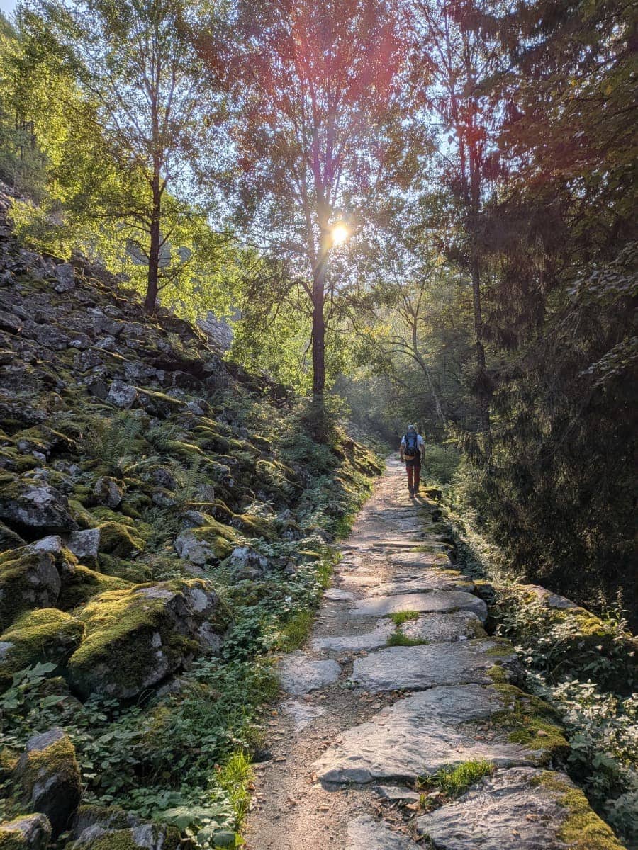Ein Wanderer folgt der Via Albula/Bernina auf einem alten, mit großen Steinplatten gepflasterten Weg durch den sonnendurchfluteten Bergwald bei Miralago.