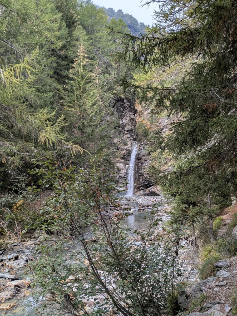 Ein schmaler Wasserfall stürzt nahe Cavaglia durch eine felsige Schlucht in einen Bergbach, umgeben von dichtem Lärchen- und Nadelwald.